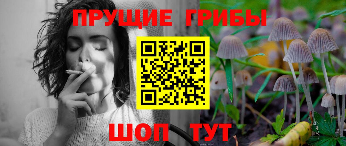Псилоцибиновые грибы мухоморы Воронеж
